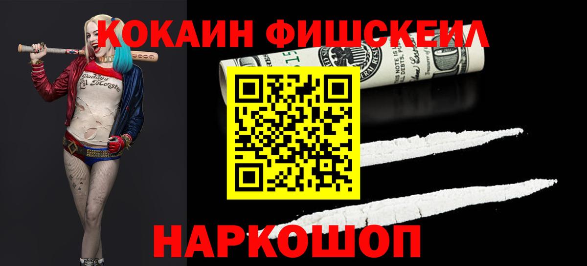 Шадринск  Cocaine Fish Scale  Cocaine 98%  купить  цена  Вход с VPN 