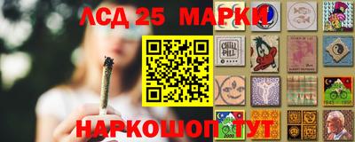 шишки Лесосибирск