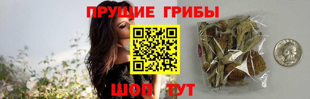 купить  цена  Вход с VPN  Шадринск  Галлюциногенные грибы прущие грибы  Псилоцибиновые грибы MAGIC MUSHROOMS 