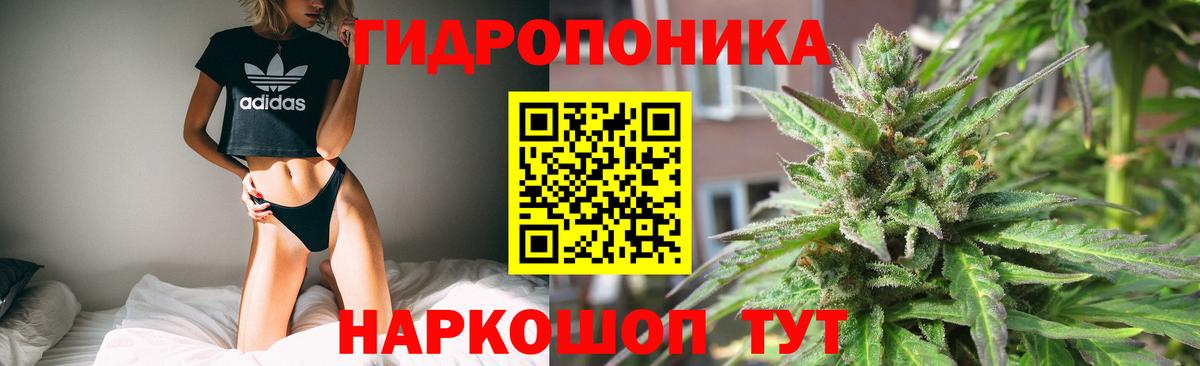 Конопля White Widow Шадринск